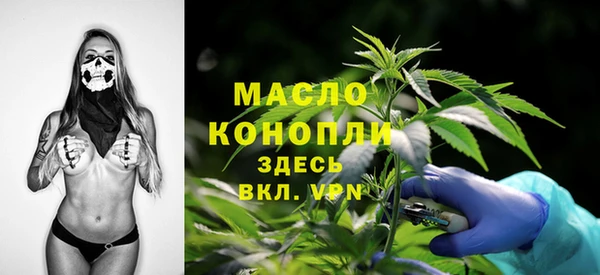 мдпв Карпинск