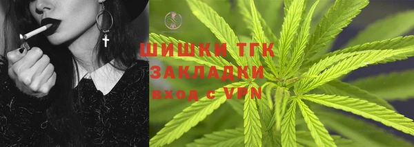 мдпв Карпинск