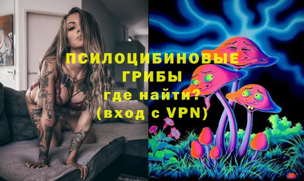 бошки Каменногорск