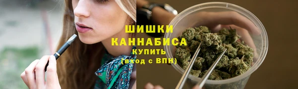 ПСИЛОЦИБИНОВЫЕ ГРИБЫ Карталы