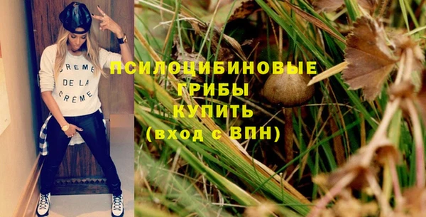 метамфетамин Каменка