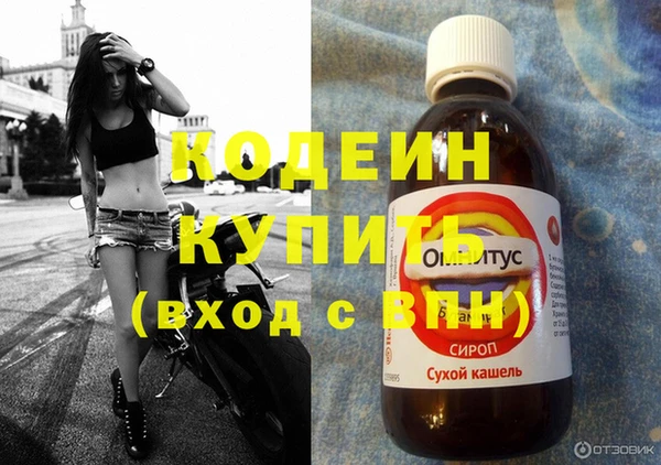 бошки Каменногорск
