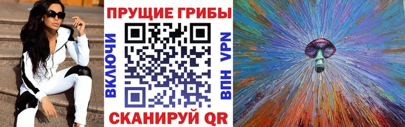 Псилоцибиновые грибы мухоморы  закладка  Курильск 